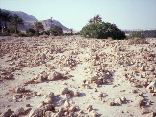 The Qumran Cemetery--Shall These Bones Live?